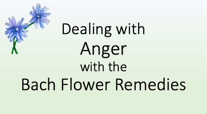 Dealing with Anger with the Bach Flower Remedies