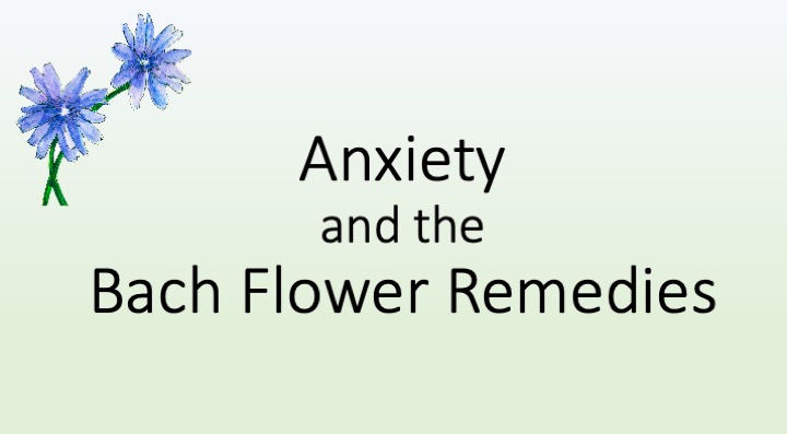 Anxiety and the Bach Flower Remedies