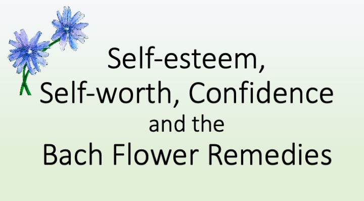 Self-esteem, Self-worth, Confidence, and the Bach Flower Remedies